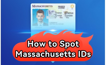 How to Spot Massachusetts IDs