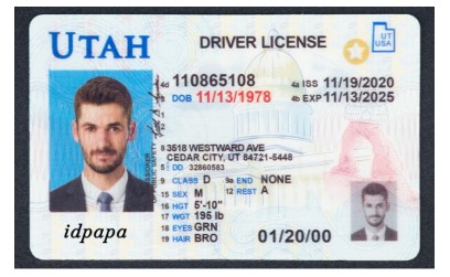 How Can a Cashier Tell If an ID is Fake?