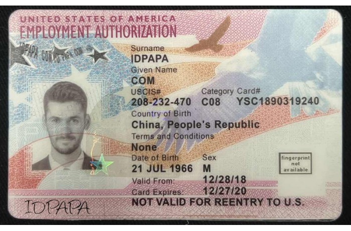 Fake Employment Authorization Card