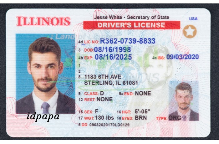 Illinois Fake ID