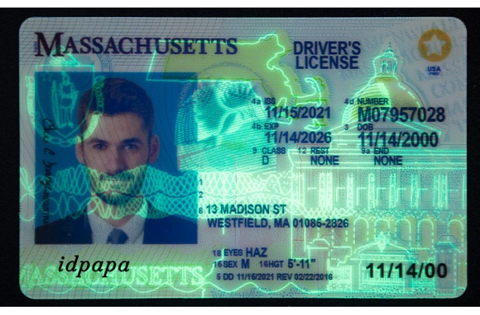 Can you spot secrets of Mass. license?