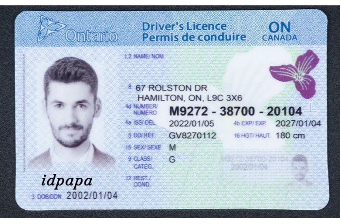 Ontario Fake ID