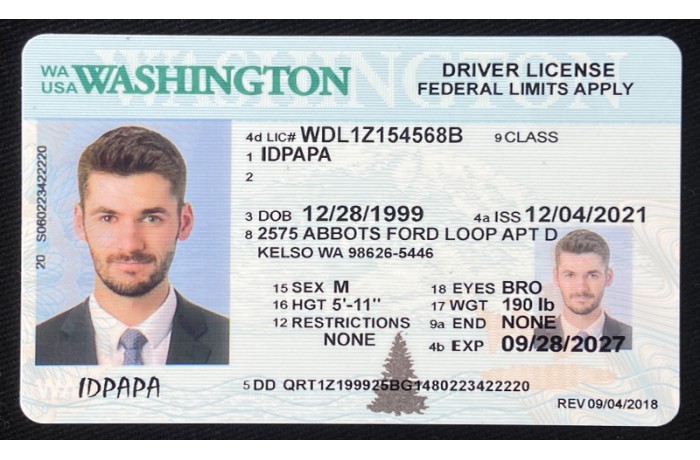 Washington Fake ID