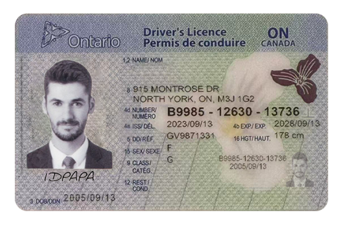 Ontario Fake ID (upgrade version)