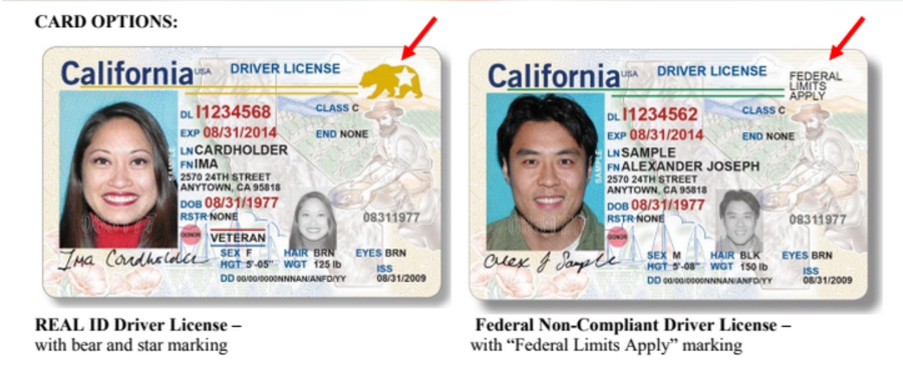 Buy-fake-ids-at-idpapa