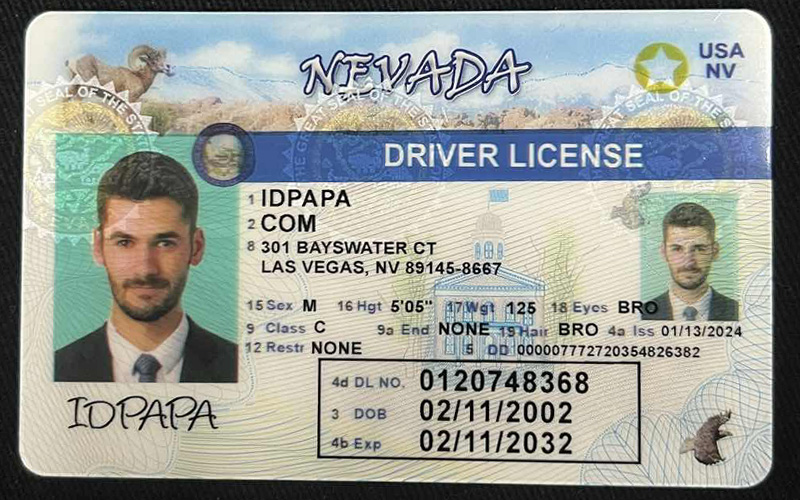 Sample novelty Nevada driver’s license featuring a male photo, the name IDPAPA, a Las Vegas address, and an expiration date in 2032