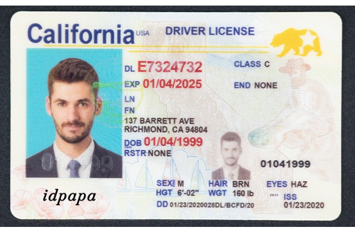 California Driver License