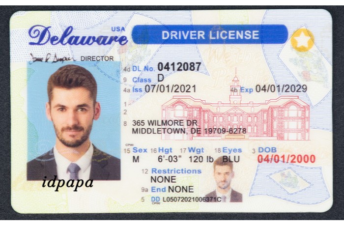 Sample Delaware driver's license with a male photo and ID details labeled idpapa