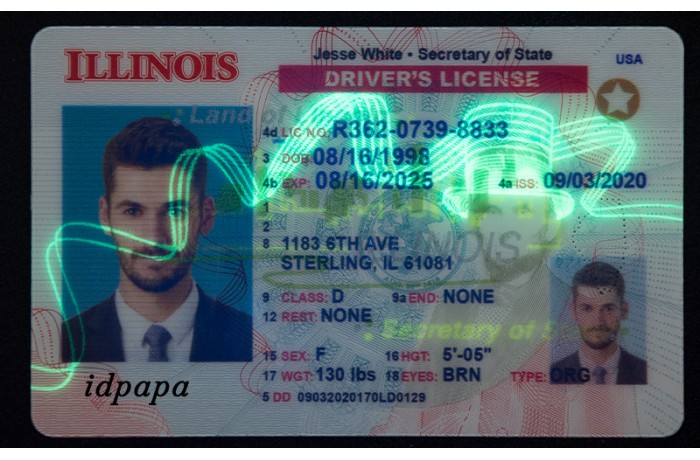Illinois fake-id