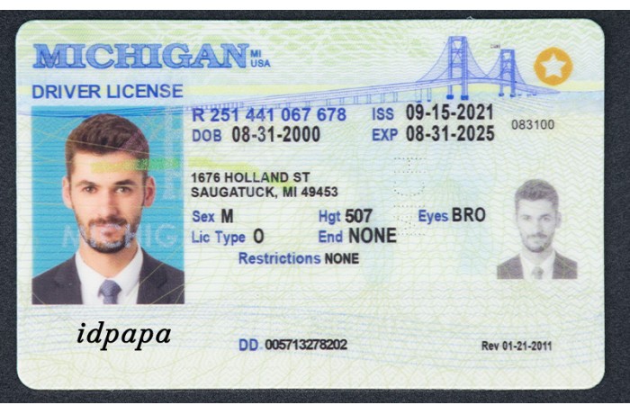 MICHIGAN  fake-id