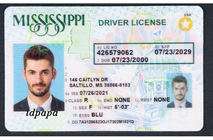 Mississippi driver's license with license