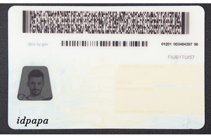 new -york fake id back