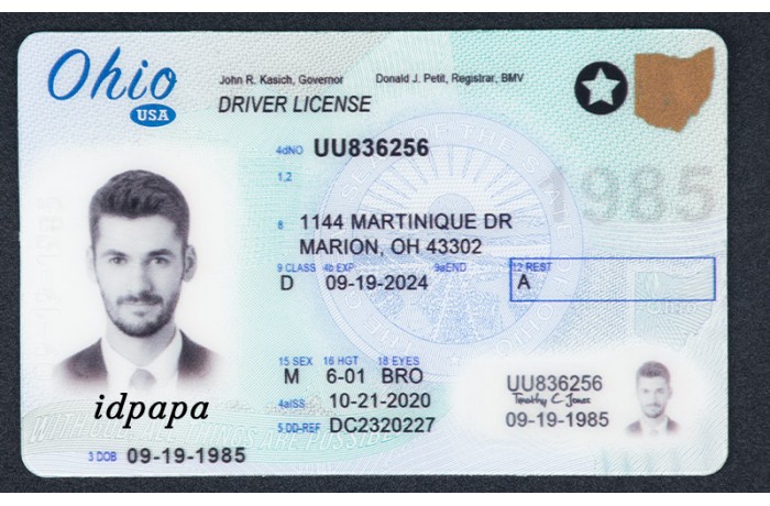 Ohio driver's license with license number UU836256. Expires 09/19/2024. Address: 1144 Martinique Dr, Marion, OH 43302. Physical details: 6'01', brown eyes