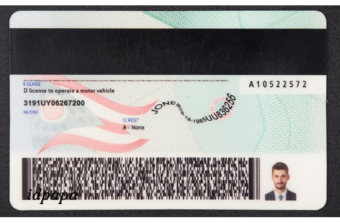 Ohio fake-id back