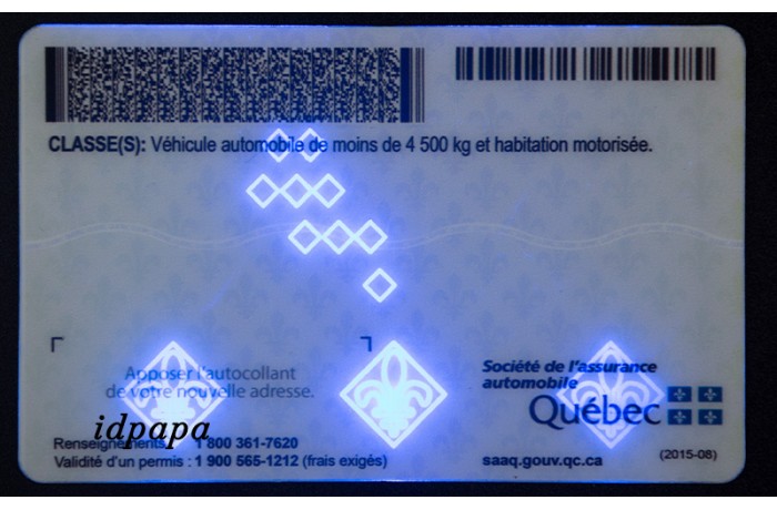 Quebec Fake-ID BACK