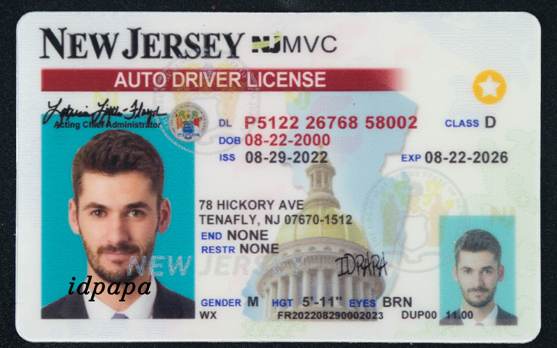 A novelty New Jersey's license with the name idpapa added