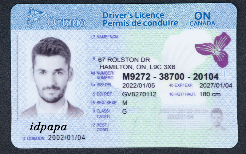 Novelty Ontario driver's license with a male photo, the name idpapa, and placeholder personal information like address, license number, and expiration date