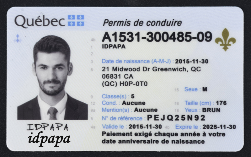 Sample novelty Québec driver’s license featuring a male photo, the name IDPAPA, and an address in Greenwich, QC, with French-language details and a fleur-de-lis symbol