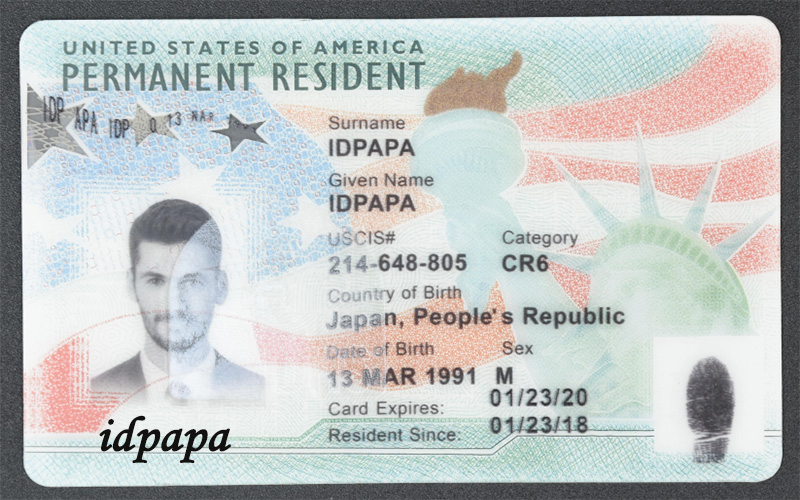 United States of America  driver's license issued to Name, license number