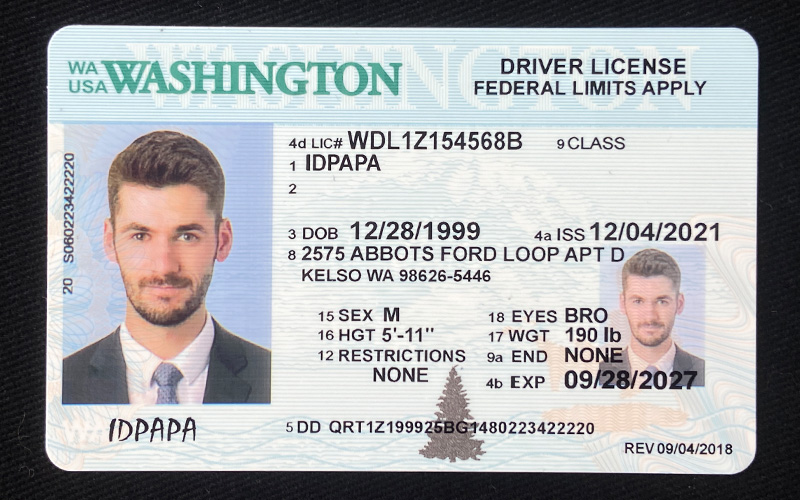 Washington novelty driver's license featuring a man's photo, sample ID information, and the word IDPAPA near the bottom left