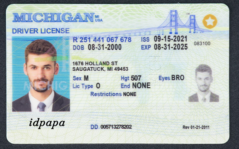 A novelty Michigan driver's license with a male portrait, labeled idpapa, displaying fictional personal and license details